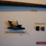 thekumachan_Sequoyah_birthplace_museum-16