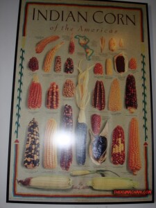 thekumachan_Sequoyah_birthplace_museum-44