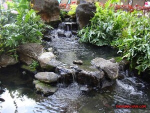 thekumachan_hilton_hawaiian_village_hotel-3