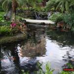 thekumachan_hilton_hawaiian_village_hotel-4