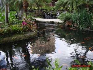 thekumachan_hilton_hawaiian_village_hotel-4