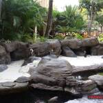 thekumachan_hilton_hawaiian_village_hotel-5