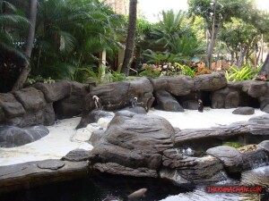 thekumachan_hilton_hawaiian_village_hotel-5