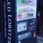 thekumachan_japanese_vending-02