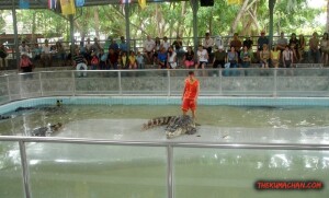thekumachan_thailand-02