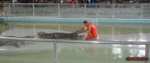 thekumachan_thailand-04