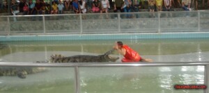 thekumachan_thailand-05