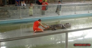 thekumachan_thailand-07