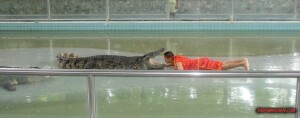 thekumachan_thailand-09