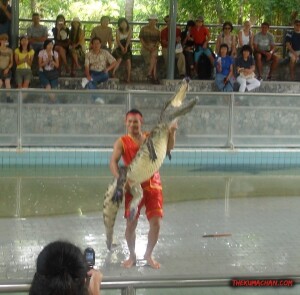 thekumachan_thailand-11