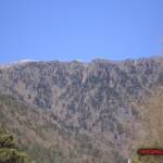 thekumachan_yamanashi_Japan-10