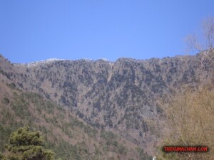 thekumachan_yamanashi_Japan-10
