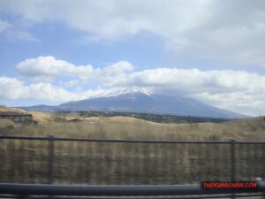 thekumachan_yamanashi_Japan-11