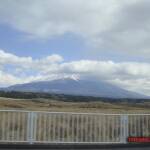 thekumachan_yamanashi_Japan-12