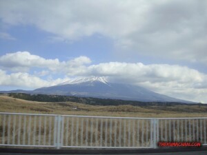thekumachan_yamanashi_Japan-12