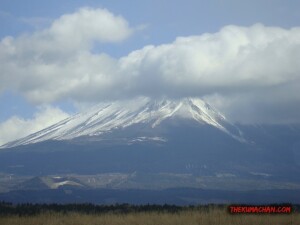 thekumachan_yamanashi_Japan-14