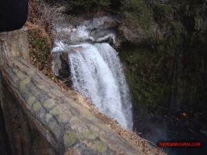 thekumachan_yamanashi_Japan-15