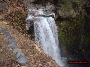 thekumachan_yamanashi_Japan-17