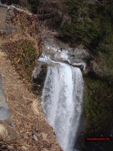 thekumachan_yamanashi_Japan-18