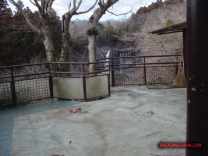 thekumachan_yamanashi_Japan-19