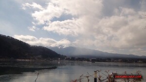 thekumachan_yamanashi_Japan-2