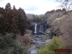 thekumachan_yamanashi_Japan-21