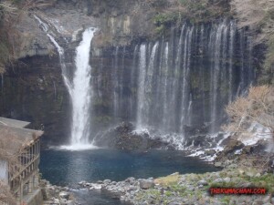 thekumachan_yamanashi_Japan-22