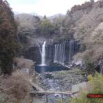 thekumachan_yamanashi_Japan-23