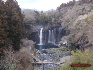 thekumachan_yamanashi_Japan-23