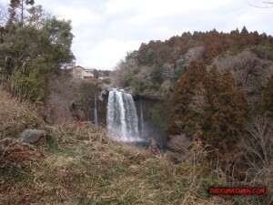 thekumachan_yamanashi_Japan-25