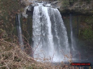 thekumachan_yamanashi_Japan-26