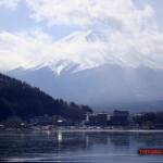 thekumachan_yamanashi_Japan-4