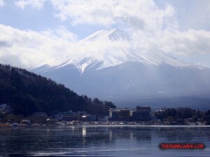 thekumachan_yamanashi_Japan-4