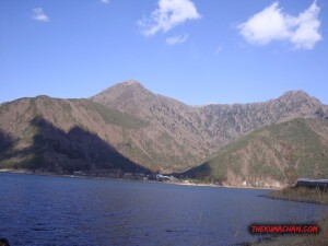 thekumachan_yamanashi_Japan-5