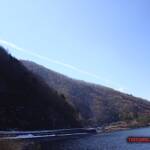 thekumachan_yamanashi_Japan-6