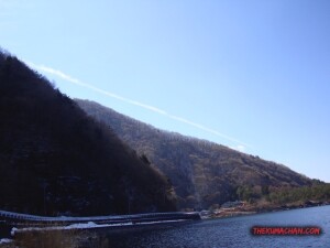 thekumachan_yamanashi_Japan-6