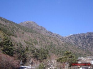thekumachan_yamanashi_Japan-8