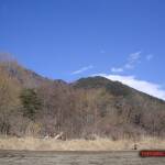 thekumachan_yamanashi_Japan-9