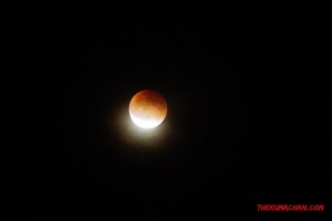 thekumachan_20150927_blood_moon-3