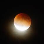 thekumachan_20150927_blood_moon-4