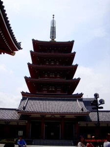 thekumachan_Asakusa_Japan-4