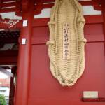 thekumachan_Asakusa_Japan-5