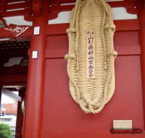 thekumachan_Asakusa_Japan-5