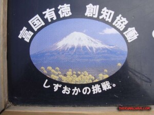 thekumachan_Mount_Fuji_Japan-8