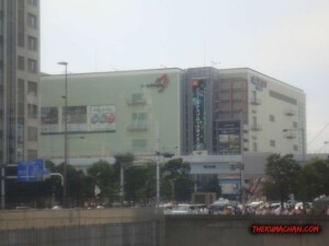 thekumachan_Odaiba_Tokyo_Japan-2
