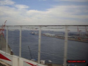 thekumachan_Odaiba_Tokyo_Japan-4