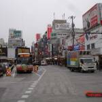 thekumachan_Omiya_Japan-4