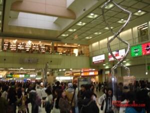 thekumachan_Omiya_Japan-7