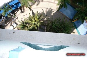 thekumachan_Picture_on_Northside_looking_down_from_Aloha_tower_5-27-01
