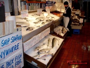 thekumachan_Seattle_Washington_USA-2